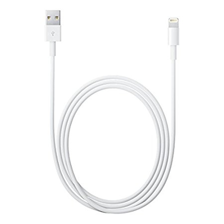 Apple MD818AM/A Lightning to USB Cable (1 m) main image