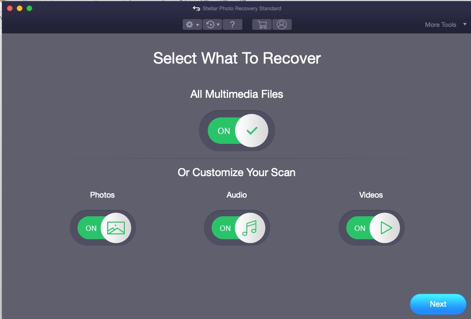 Select What To Recover Screen