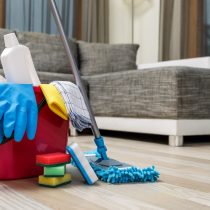 House Cleaning - Feature